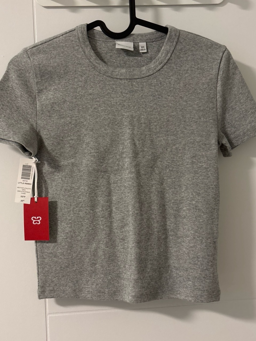 Aritzia Sunday Best Besthug Little Tee